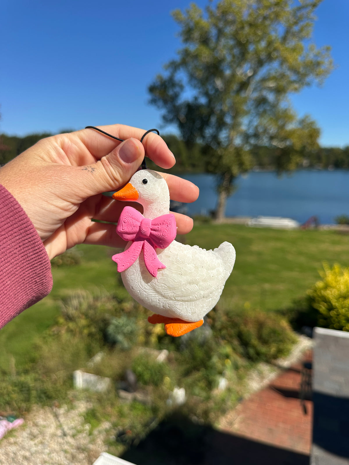 Goose with pink bow freshie