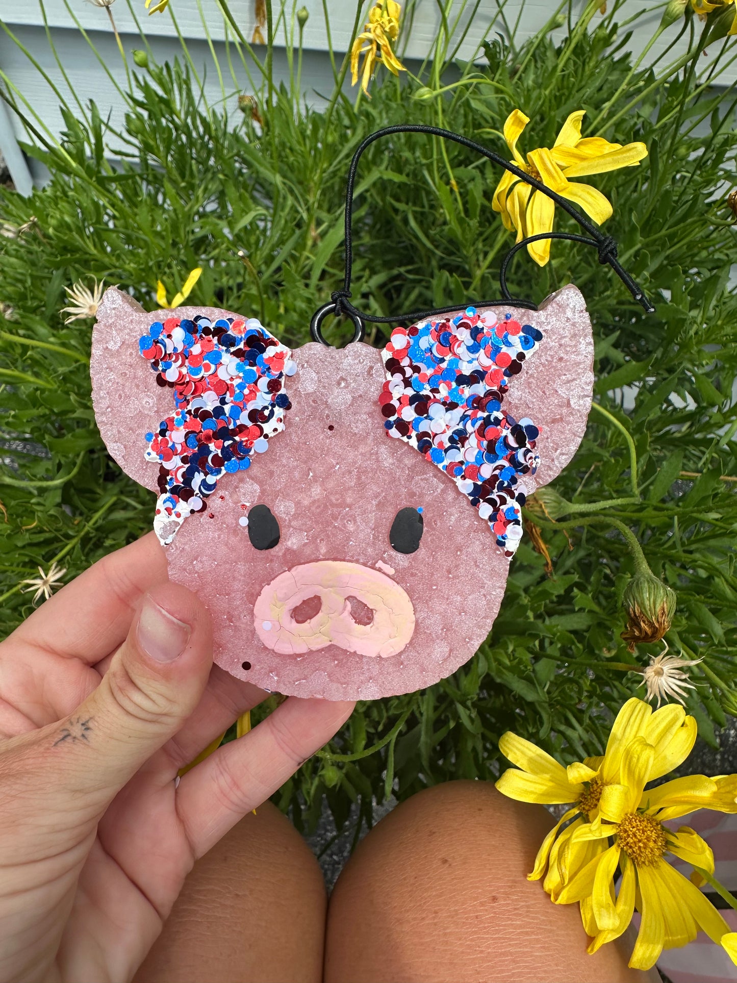 American pig freshie