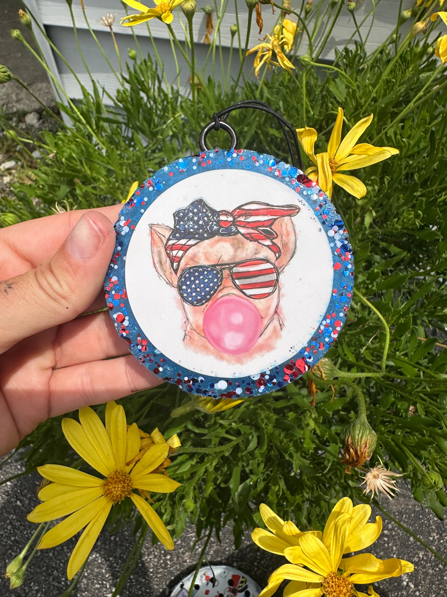 American bubble pig freshie