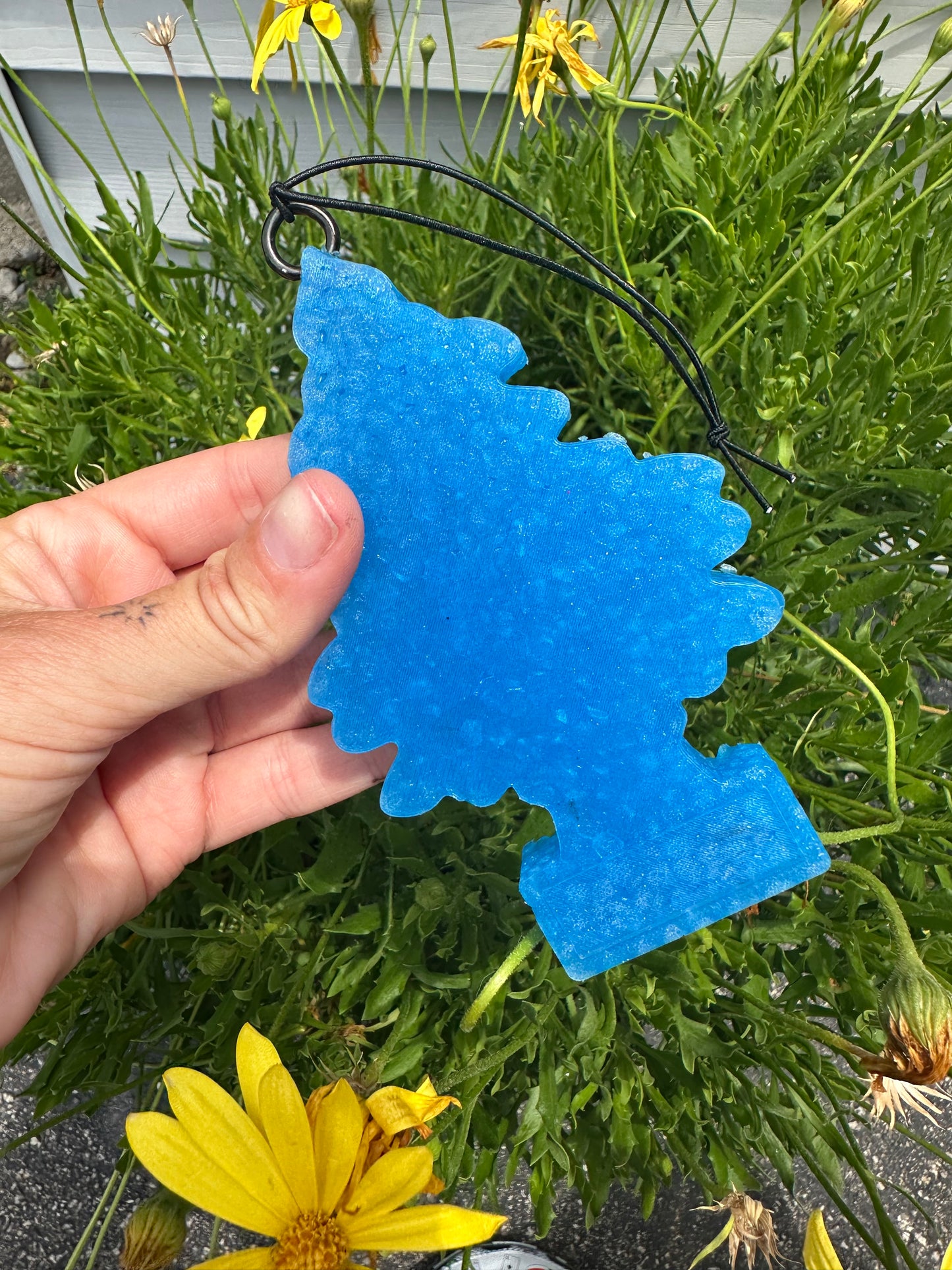 Blue tree freshie