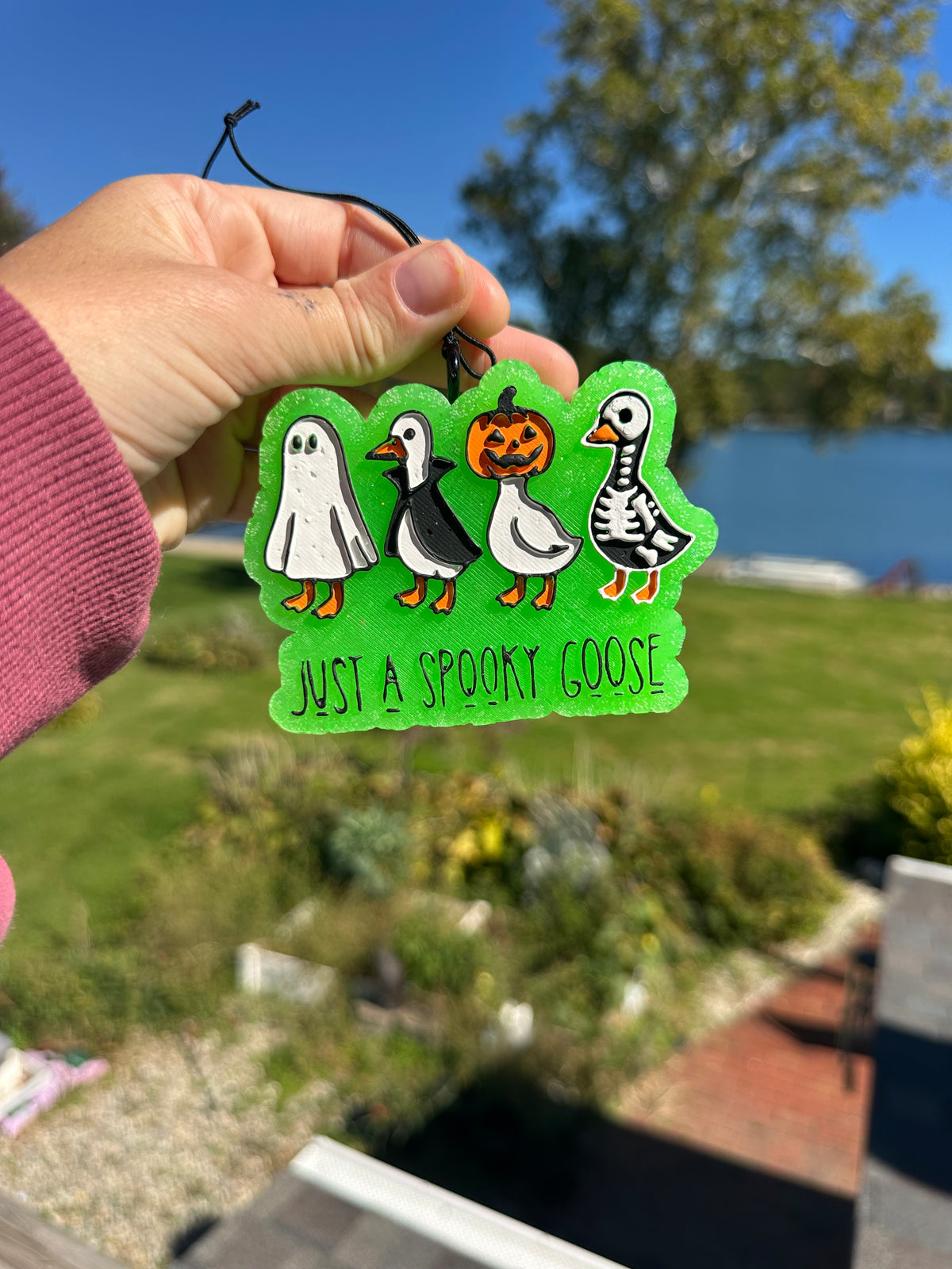 Halloween ducks freshie